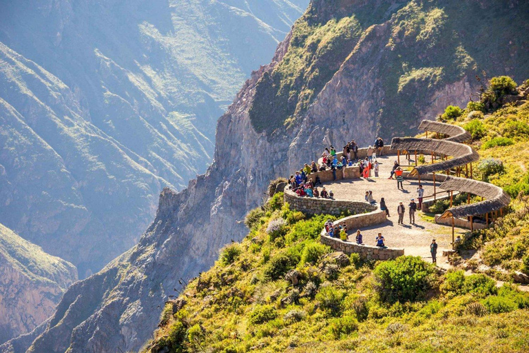 Från Arequipa: Tur till Colca Canyon + Transfer till Cusco