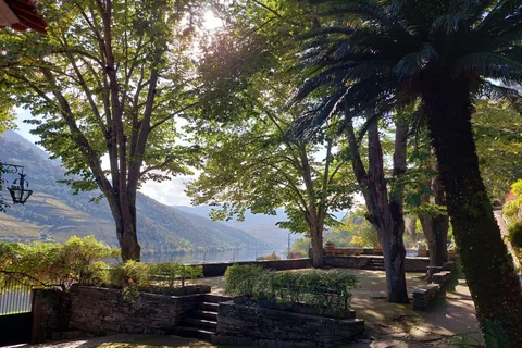 Dourodalen: (Pinhão) Quinta da Foz - rundtur och provsmakning 5 VINER
