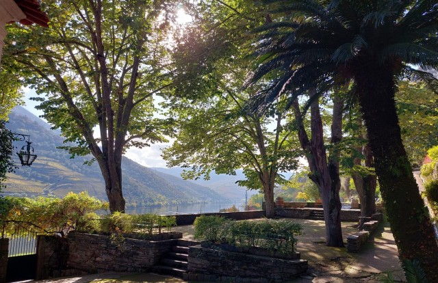 Visit Douro Valley  (Pinhão) Quinta da Foz - Tour&Tasting 5 WINES in Pinhão