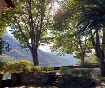 Douro Valley: (Pinhão) Quinta da Foz - Tour&Tasting 5 WINES