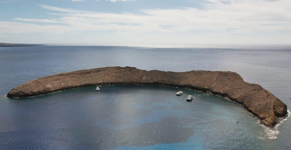 Molokini Crater 2-Hour Snorkeling Trip