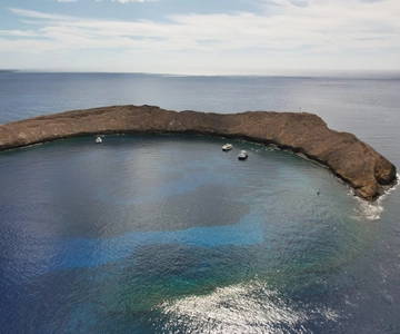 Von Kihei aus: Molokini Schnorchelabenteuer 2-Stunden
