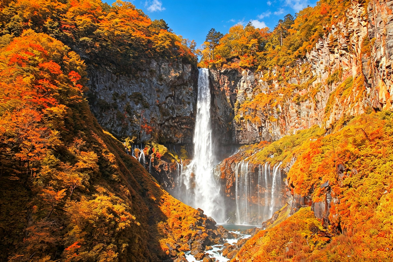 Nikko Small Group: Hotel Pickup, Kegon Falls & Toshogu Private Sightseeing Tours
