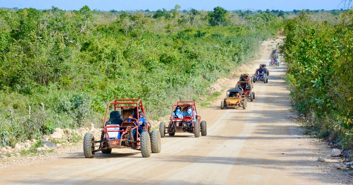 Punta Cana Half-Day Buggy Adventure with Taino Cavern Cenote | GetYourGuide