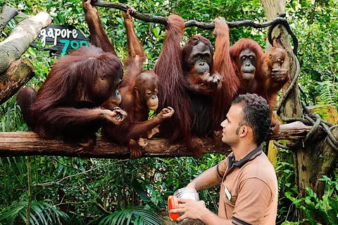 Travel zoo one way transfer trip