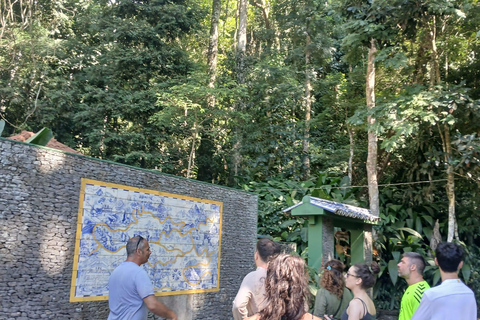 Rio de Janeiro: Spacer po lesie Tijuca