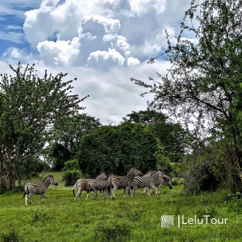 Visit Kissama National Park Safari in Luanda