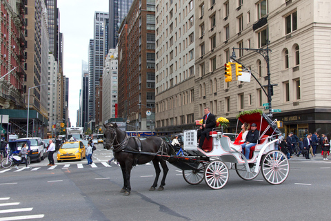 NYC Private Central Park Horse Carriage Ride with Guide NYC VIP Christmas Light Horse Carriage Ride
