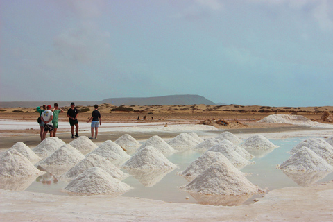 Sal Island: Small-Group Tour with Shark Bay & Blue Eye
