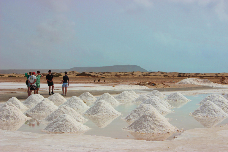 Sal Island: Small-Group Tour with Shark Bay & Blue Eye