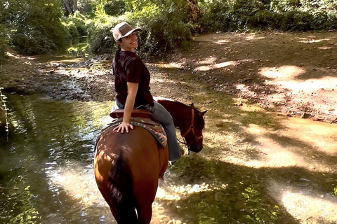 Provence: 2-hour Western horseback riding tour, refreshing break in the river Provence: 2-Hour Western Horseback Riding Tour, Refreshing Break in the River