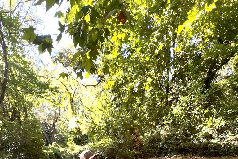 Provence: 2-hour Western horseback riding tour, refreshing break in the river Provence: 2-Hour Western Horseback Riding Tour, Refreshing Break in the River