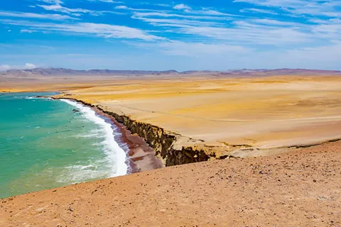 From Paracas: Paracas National Reserve Tours