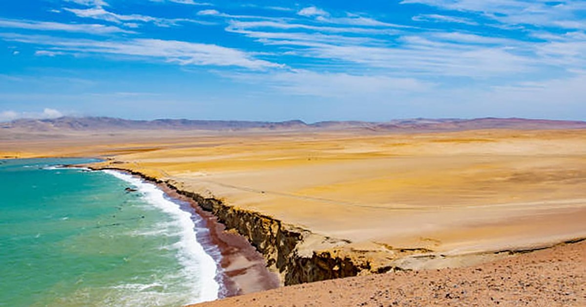 Ab Paracas Paracas National Reserve Touren GetYourGuide