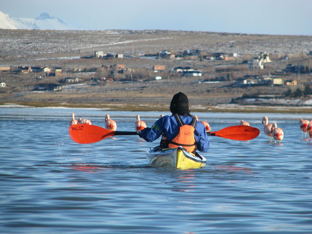 El Calafate: Kayaking on Lake Argentino with Transfers