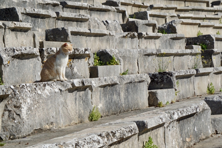 Mycenae Epidaurus i Nafplio Small Group Tour z AtenPrywatna wycieczka