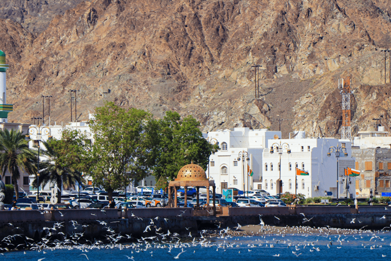 Muscat highlights : Private Muscat City Tour..