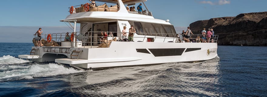 Gran Canaria : Croisière en catamaran l'après-midi avec repas et boissons