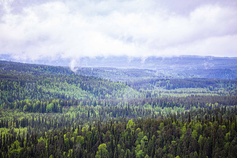 Rovaniemi: Korouoma Canyon and Auttiköngäs Falls Tour