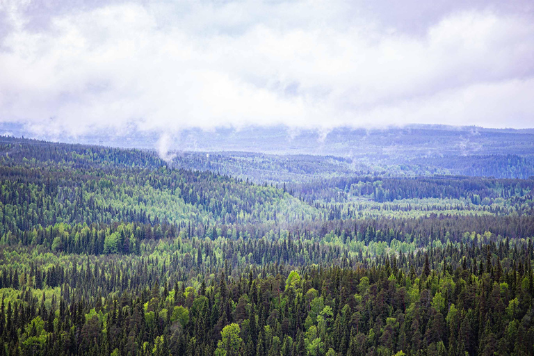 Rovaniemi: Korouoma Canyon and Auttiköngäs Falls Tour