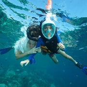 Koh Chang: Snorkeling Trip to Reefs or Wrecks with Lunch Koh Chang: Snorkeling Trip to Reefs or Wrecks with Lunch