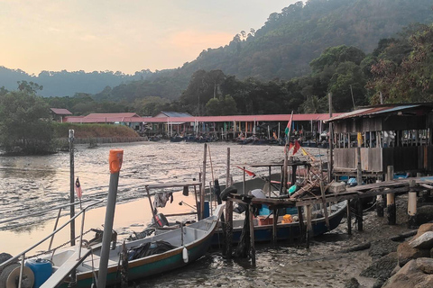 Penang: Balik Pulau Evening Cycling Tour w/ Hotel Transfers