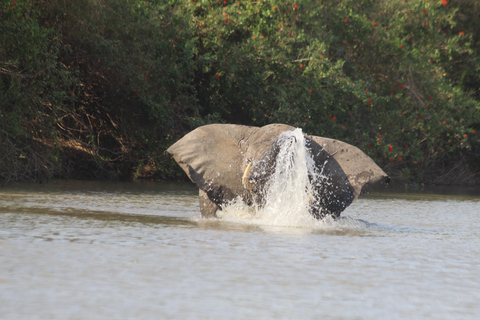 Safari de pesca inesquecível de 3 dias em Selous GR /Nyerere NP.