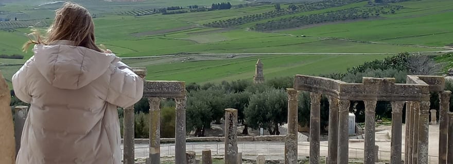 Excursion privée d'une journée au départ de Tunis : Dougga et Bulla Regia
