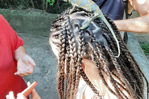 Zanzibar: Nungwi kilosa Conservation zoo half day tour Private tour for the gusts from Nungwi only