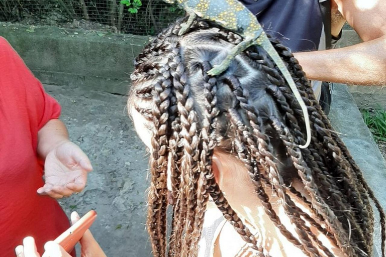 Zanzibar: Nungwi kilosa Conservation zoo half day tour Private tour for the gusts from Nungwi only