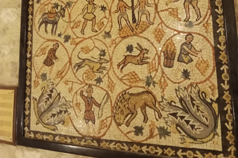 Amman: Dead Sea, Lot's Wife, & Blue Mosque Tour with Lunch Dead Sea only