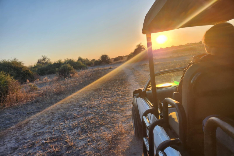 Chobe National Park Express Land Safari + Pickup