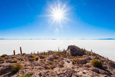 San Pedro de Atacama: Piana di sale di Uyuni 4 giorni