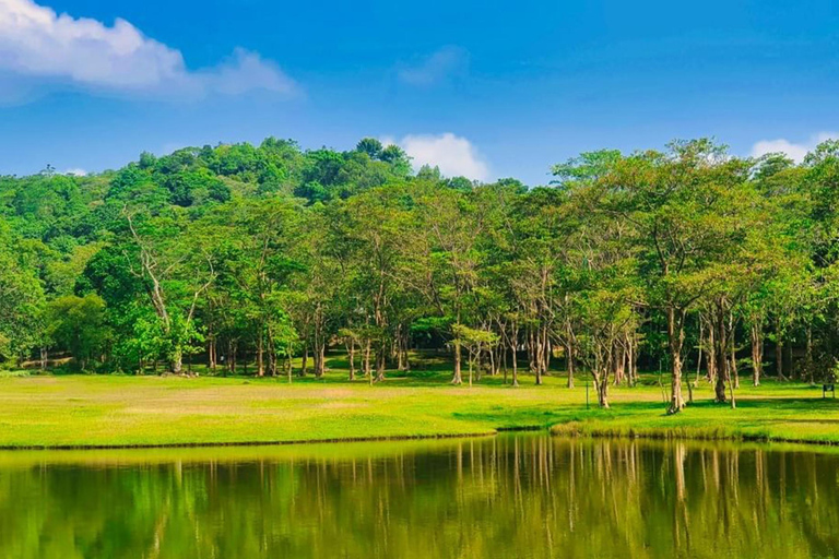 Tour guiado particular de 1 dia de bicicleta por trilhas até as Cataratas