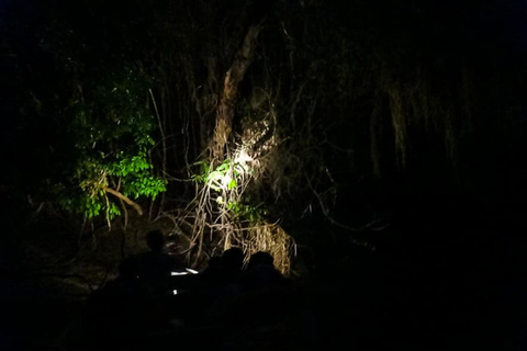 Manaus: Nocne skupienie