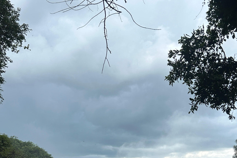 Victoria Falls: Guided Tour with Township & Market Visit