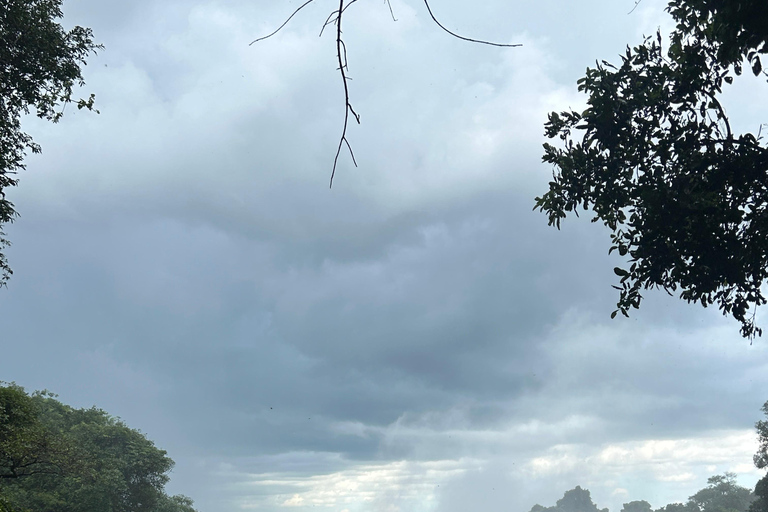 Victoria Falls: Guided Tour with Township & Market Visit