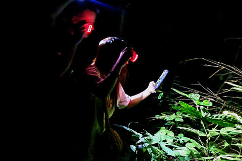 Khao Sok: Half-Day & Night Wildlife Trek and Jungle Dinner Option 6: Half-Day & Night Trek with Dinner From Khao Lak