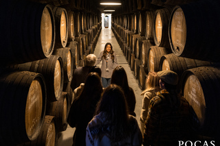 Porto: Tour guidato e degustazione di 3 vini di Porto a Poças