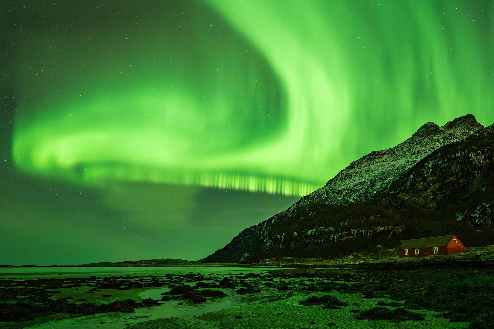 Bodø: Nordlichter-Tour in kleiner Gruppe – mit Fotos