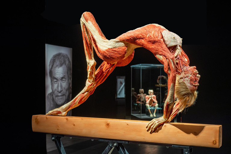 Brugge: biljett till utställningen Body Worlds på Oud Sint-Jan