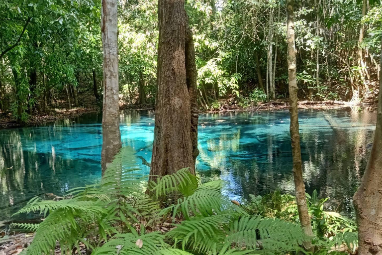 Krabi: Cattery's Ultimate Jungle Odyssey w/ Thrilling Addons Emerald Pool + Krabi Hot Spring + Tiger Temple + 30 min ATV