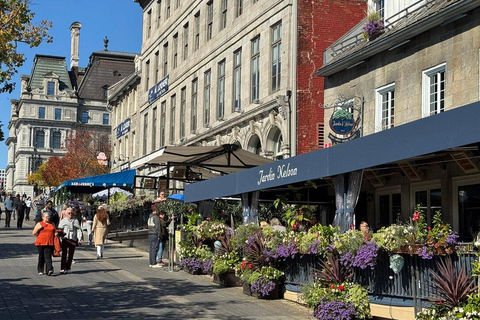 Montreal Private City Car Tour with Local Guide