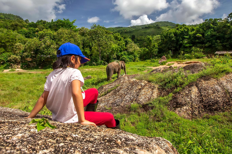 Phuket : Visite à pied et nourrissage au parc naturel des éléphants éthiques