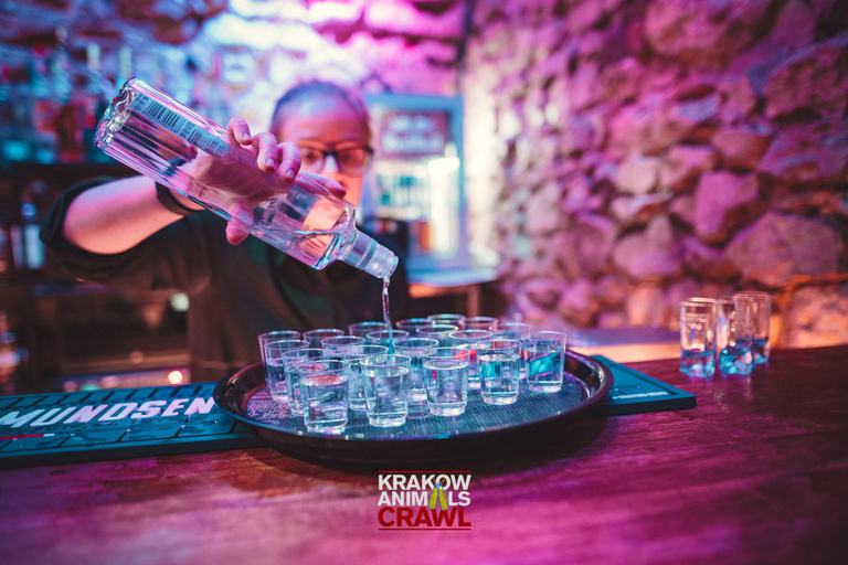 Cracovia: Pub Crawl di Capodanno con 2 ore di bevande illimitateCracovia: Capodanno 2H Bevande illimitate&amp;Club Ingresso VIP