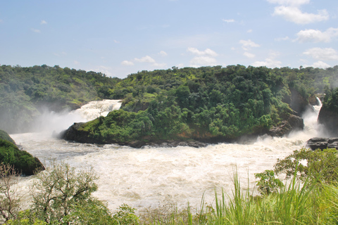 3-Day Best of Uganda Big5 Safari Tour in Murchison Falls NP