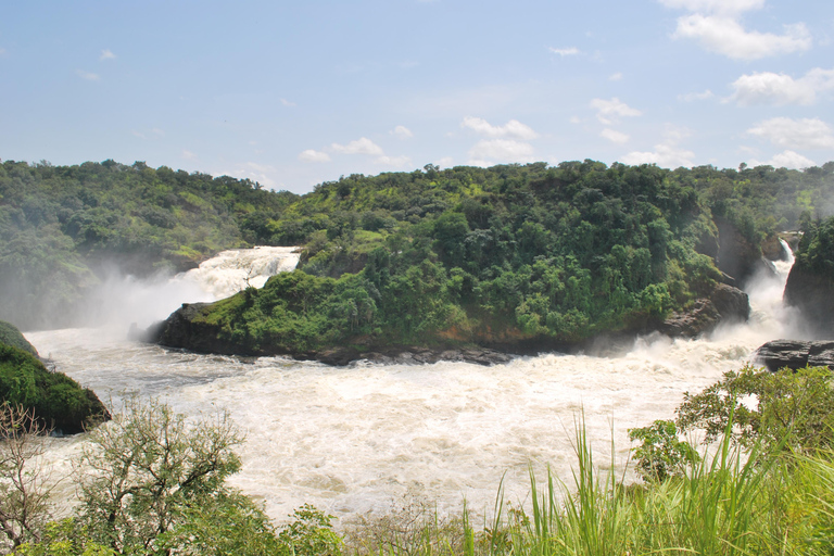 3-Day Best of Uganda Big5 Safari Tour in Murchison Falls NP