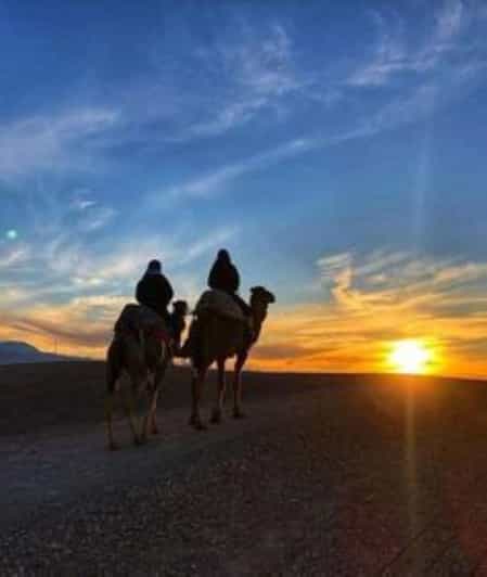 Marrakech : quad, balade à dos de chameau et dîner-spectacle - quad