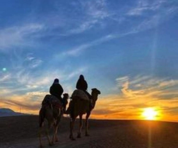 Marrakech: Kameel & quad tour met zonsondergang, diner en show