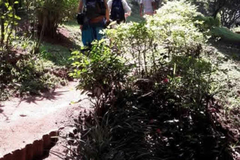 Kandy Top City Sights & Agro Tech Park Visit 4-Hours Tour Kandy Top City Sights visit -01